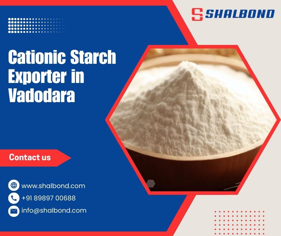 Cationic Starch Exporter in Vadodara